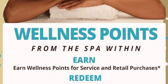 Earn Wellness Points from The Spa Within at The Lodge on Lake Detroit