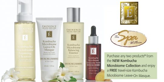 Eminence Fall Kombucha Microbiome Collection Special at The Spa Within at The Lodge on Lake Detroit